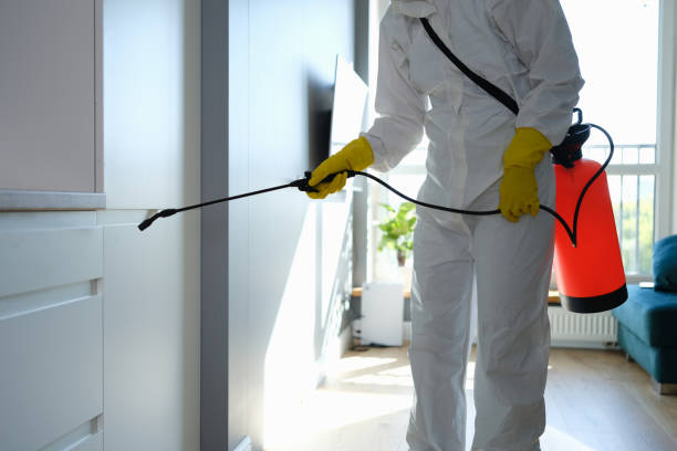 Best Residential Mold Remediation in Ferndale, WA